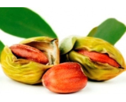 Jojoba oil Hytek - Aroma zone, 50 ml France BIO Jojoba oil Hytek - Aroma zone, 50 ml France BIO