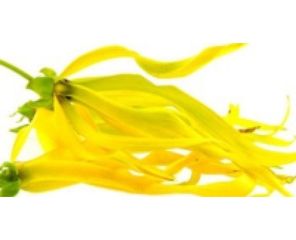 Hydrolat Ylang - Ylang Haldi-Aroma zone, 100 ml Hydrolat Ylang - Ylang Haldi-Aroma zone, 100 ml