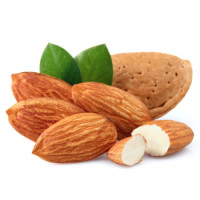 Sweet Almond aceite, 100 ml