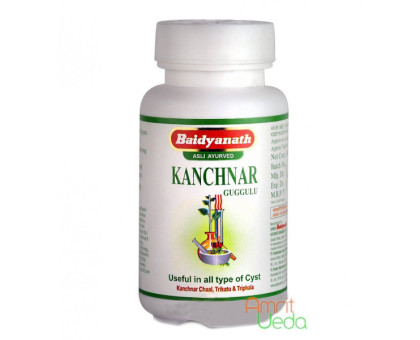 Kanchnar Guggul Baidyanath, 80 compresse - 30 grammi Kanchnar Guggul Baidyanath, 80 compresse - 30 grammi