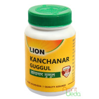 Kanchnar Guggul, 100 comprimés