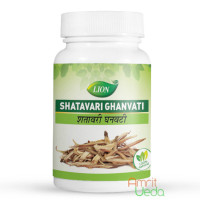 Shatavari extract, 100 tablets