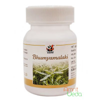 Bhumiamalaki, 60 capsula
