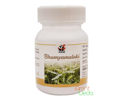 Bhumiamalaki S.D.M., 40 kapsułki Bhumiamalaki S.D.M., 40 kapsułki