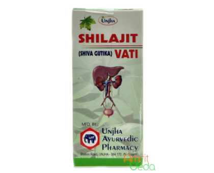 Shilajit vati Unjha, 40 tabletten - 10 gramm Shilajit vati Unjha, 40 tabletten - 10 gramm