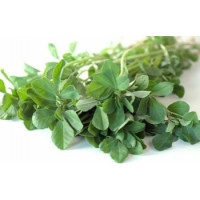 Kasuri methi, 10 grammi