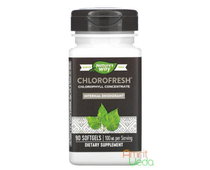 Chlorofresh - сhlorophyll сoncentrate Nature's Way, 90 softgels Chlorofresh - сhlorophyll сoncentrate Nature's Way, 90 softgels