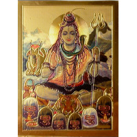 Magnet Shiva